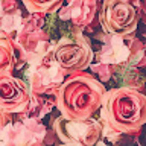 Meet your Posher, Fatima